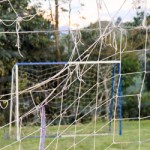 Pre Season trial match