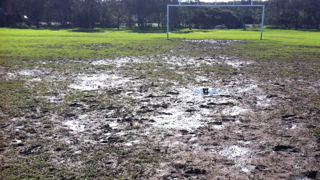 Wet pitch