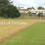 Field of Dreams